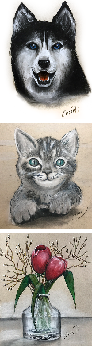 plusieur dessin pour site banniere verticale V3