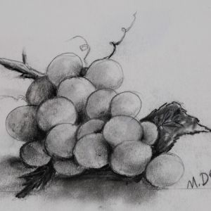 Grappe-raisin-