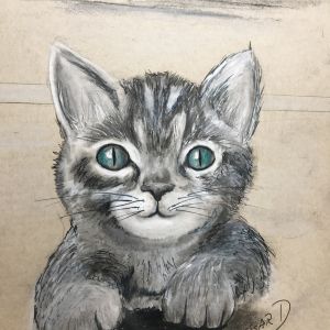 minou-chat