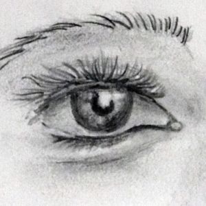 oeil